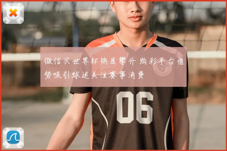 微信买世界杯热度攀升 购彩平台借势吸引球迷关注赛事消费