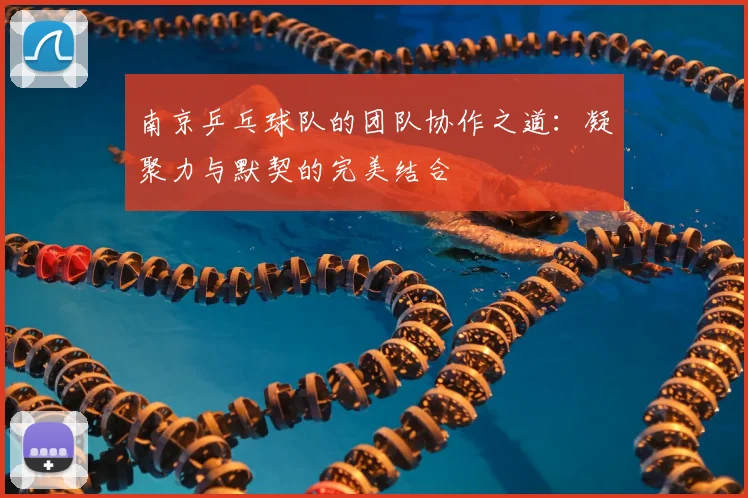 南京乒乓球队的团队协作之道：凝聚力与默契的完美结合