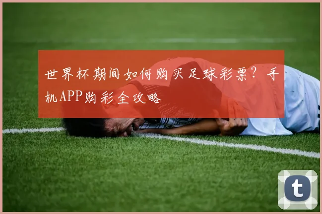 世界杯期间如何购买足球彩票？手机APP购彩全攻略