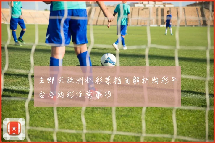 去哪买欧洲杯彩票指南解析购彩平台与购彩注意事项