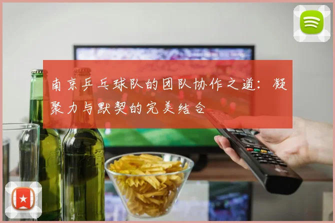 南京乒乓球队的团队协作之道:凝聚力与默契的完美结合
