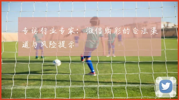 专访行业专家：微信购彩的合法渠道与风险提示