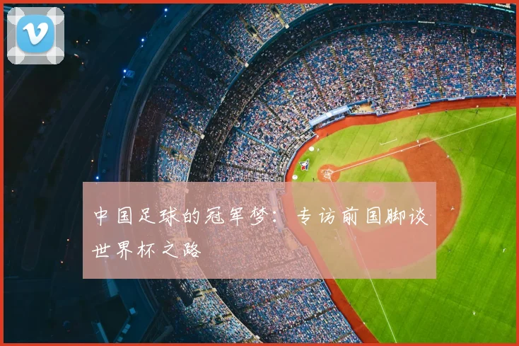 中国足球的冠军梦:专访前国脚谈世界杯之路