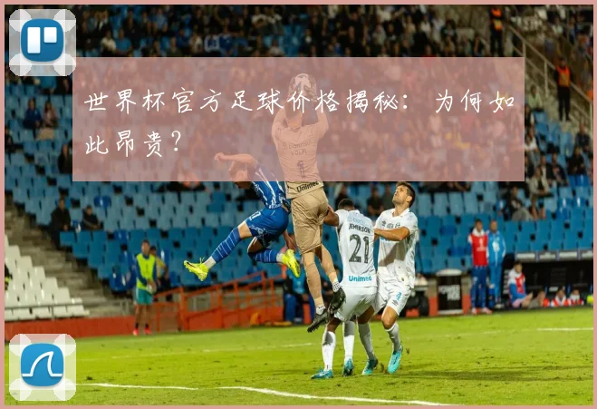 世界杯官方足球价格揭秘:为何如此昂贵?