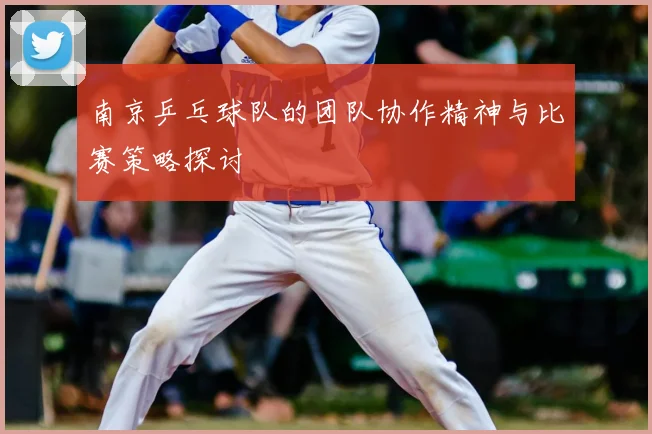 南京乒乓球队的团队协作精神与比赛策略探讨