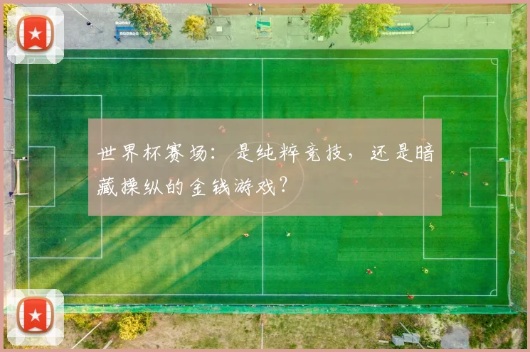 世界杯赛场：是纯粹竞技，还是暗藏操纵的金钱游戏？