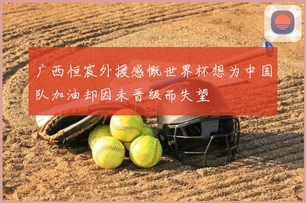 广西恒宸外援感慨世界杯想为中国队加油却因未晋级而失望