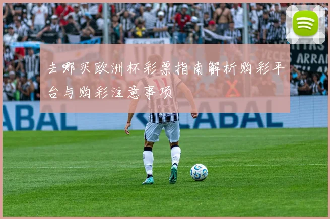 去哪买欧洲杯彩票指南解析购彩平台与购彩注意事项