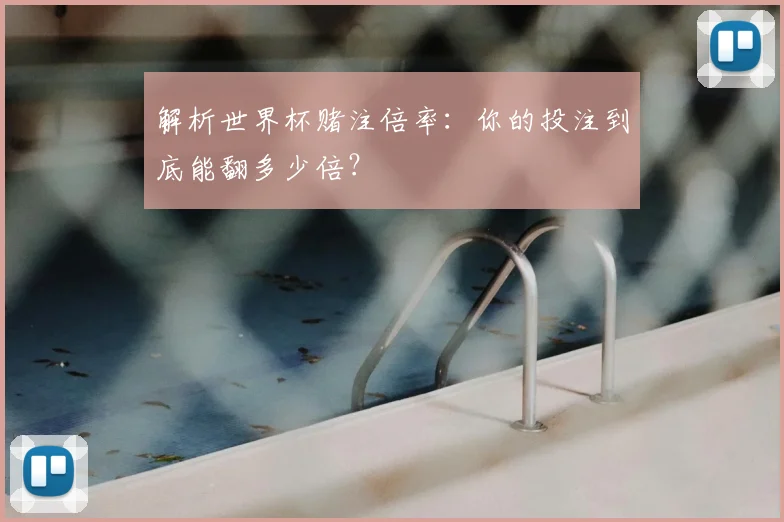 解析世界杯赌注倍率：你的投注到底能翻多少倍？