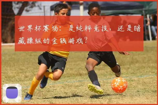 世界杯赛场：是纯粹竞技，还是暗藏操纵的金钱游戏？
