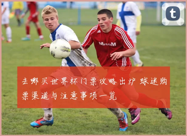 去哪买世界杯门票攻略出炉 球迷购票渠道与注意事项一览