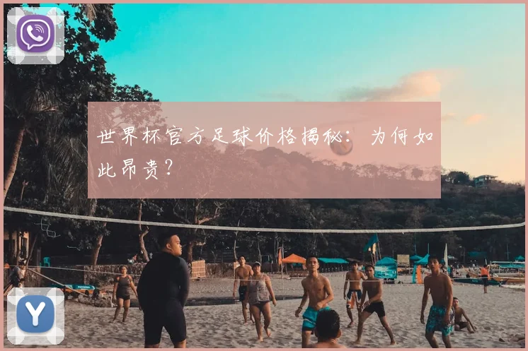 世界杯官方足球价格揭秘：为何如此昂贵？