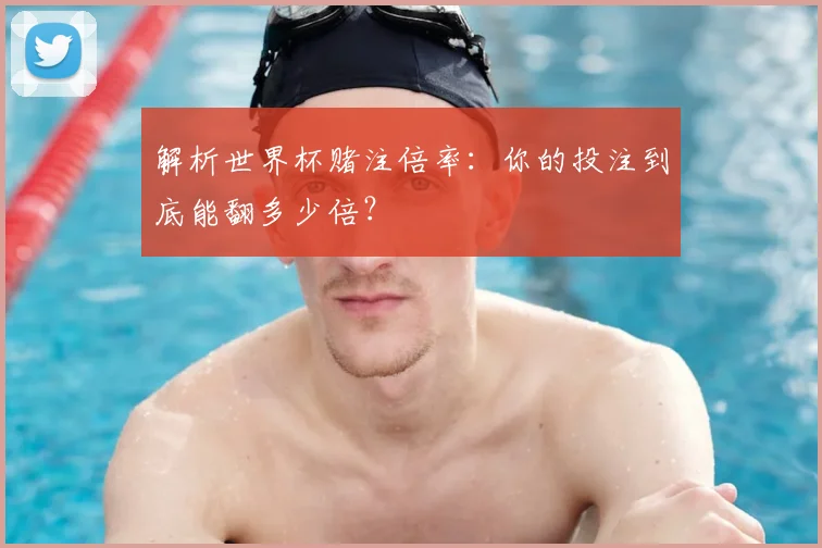 解析世界杯赌注倍率：你的投注到底能翻多少倍？