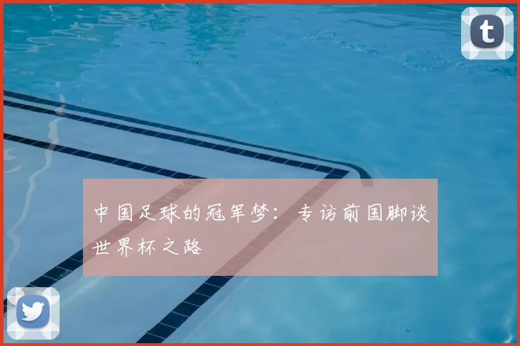 中国足球的冠军梦：专访前国脚谈世界杯之路