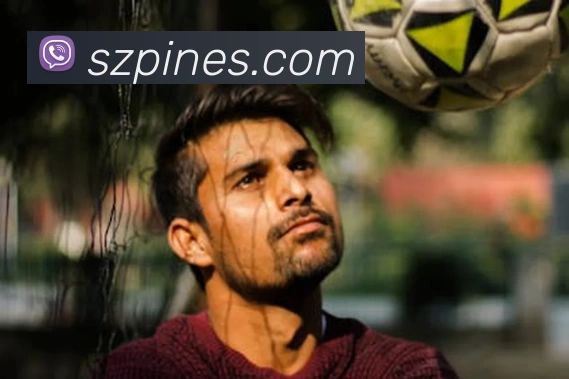 星空体育APP 封面图